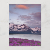 USA, Alaska, Alsek River Valley. Sicht auf Alsek Postkarte (Vorderseite)