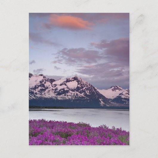 USA, Alaska, Alsek River Valley. Sicht auf Alsek Postkarte (Vorderseite)