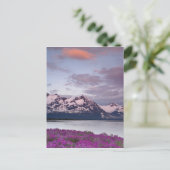 USA, Alaska, Alsek River Valley. Sicht auf Alsek Postkarte (Stehend Vorderseite)