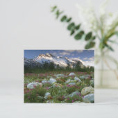 USA, Alaska, Alsek-Tatshenshini Wilderness. Ansehe Postkarte (Stehend Vorderseite)
