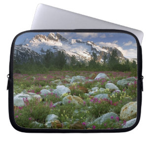 USA, Alaska, Alsek-Tatshenshini-Wilderness. Ansich Laptopschutzhülle