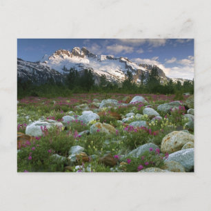 USA, Alaska, Alsek-Tatshenshini-Wilderness. Ansich Postkarte