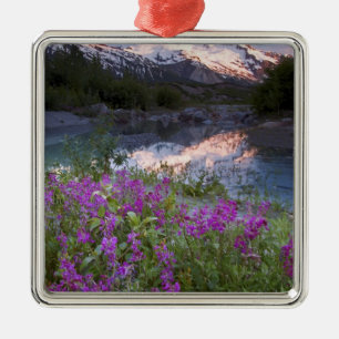 USA, Alaska, Alsek-Tatshenshini Wilderness. Ornament Aus Metall