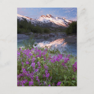 USA, Alaska, Alsek-Tatshenshini Wilderness. Postkarte