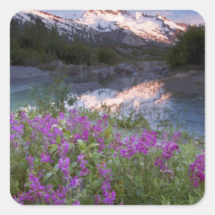 USA, Alaska, Alsek-Tatshenshini-Wildnis. Quadratischer Aufkleber