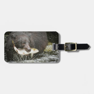 USA, Alaska, Anan Creek. Nahaufnahme eines Schwarz Gepäckanhänger