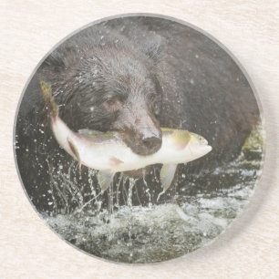 USA, Alaska, Anan Creek. Nahaufnahme eines Schwarz Getränkeuntersetzer