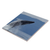 USA, Alaska, Angoon, Buckel-Wal (Megaptera Fliese (Seite)