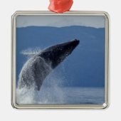 USA, Alaska, Angoon, Buckel-Wal (Megaptera Ornament Aus Metall (Vorne)