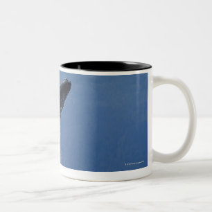 USA, Alaska, Angoon, Buckel-Wal (Megaptera Zweifarbige Tasse
