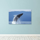 USA, Alaska, Angoon, Humpback Whale (Megaptera) Leinwanddruck (Insitu (Holzboden))