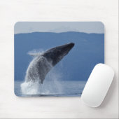USA, Alaska, Angoon, Humpback Whale (Megaptera) Mousepad (Mit Mouse)