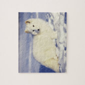USA, Alaska. Arktischer Fuchs im Wintermantel Puzzle (Vertikal)