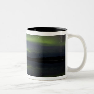 USA, Alaska, Arktischer Kreis, Bettles. Die Zweifarbige Tasse