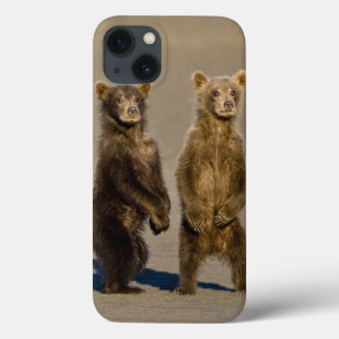 USA. Alaska. Bärenjungen an der Küste beobachten i Case-Mate iPhone Hülle