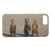 USA. Alaska. Bärenjungen Case-Mate iPhone Hülle (Rückseite (Horizontal))