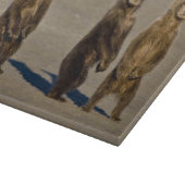 USA. Alaska. Bärenjungen Schneidebrett (Ecke)