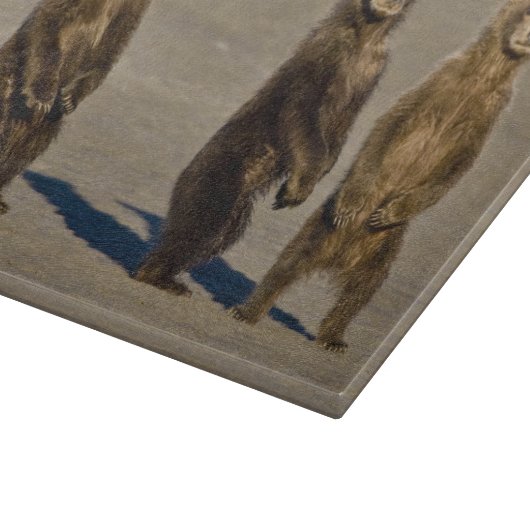 USA. Alaska. Bärenjungen Schneidebrett (Ecke)