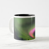 USA, Alaska, Chena Hot Springs. Aurora 2 Zweifarbige Tasse (Vorderseite Links)