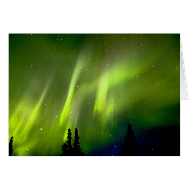 USA, Alaska, Chena Hot Springs. Aurora 3 (Vorderseite (Horizontal))