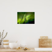 USA, Alaska, Chena Hot Springs. Aurora 3 Poster (Küche)