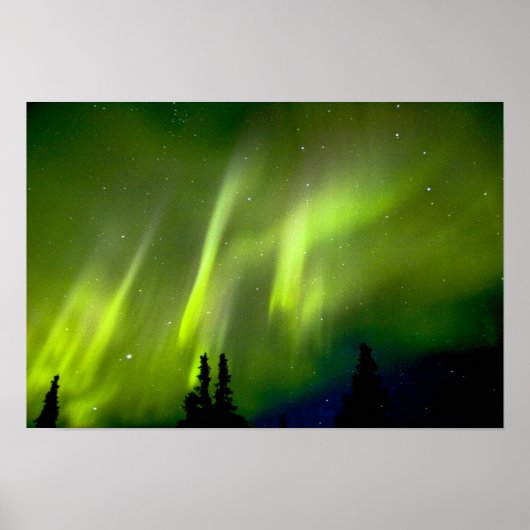 USA, Alaska, Chena Hot Springs. Aurora 3 Poster (Vorne)