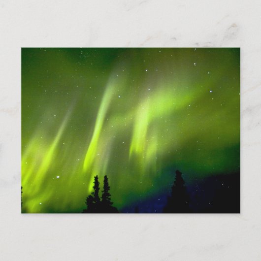 USA, Alaska, Chena Hot Springs. Aurora 3 Postkarte (Vorderseite)