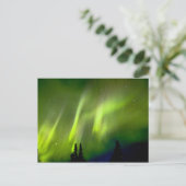 USA, Alaska, Chena Hot Springs. Aurora 3 Postkarte (Stehend Vorderseite)