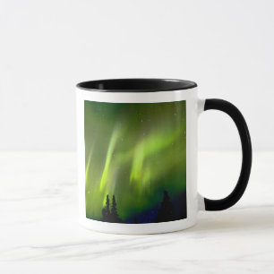 USA, Alaska, Chena Hot Springs.Aurora 3 Tasse