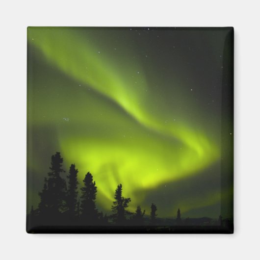 USA, Alaska, Chena Hot Springs. Aurora Borealis 2 Magnet (Vorne)
