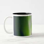 USA, Alaska, Chena Hot Springs. Aurora Borealis Zweifarbige Tasse (Links)