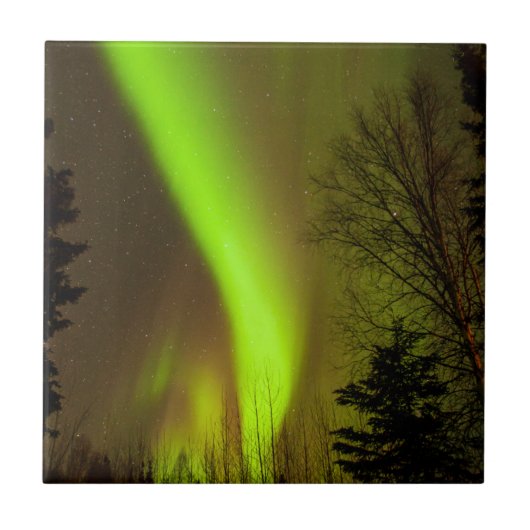 USA, Alaska, Chena Hot Springs. Aurora-Sicht Fliese (Vorderseite)