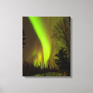 USA, Alaska, Chena Hot Springs. Sicht auf Aurora Leinwanddruck
