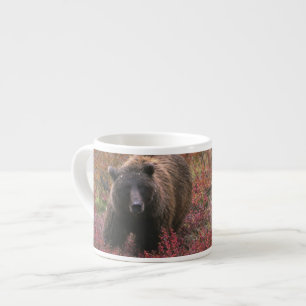 USA, Alaska, Denali-Nationalpark. Grizzlybär Espressotasse