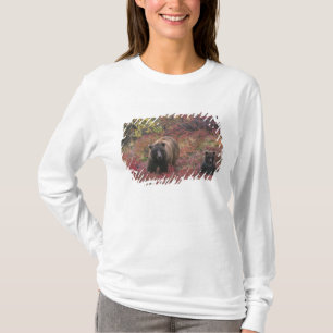 USA, Alaska, Denali-Nationalpark. Grizzlybär T-Shirt
