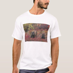 USA, Alaska, Denali-Nationalpark. Grizzlybär T-Shirt