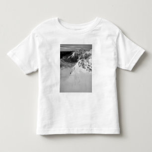 USA, Alaska, Denali-Nationalpark, Luftansicht Kleinkind T-shirt
