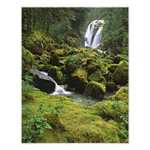 USA, Alaska. Ein Wasserfall und Fotodruck