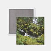 USA, Alaska. Ein Wasserfall und Magnet (Vorderseite/Rückseite)