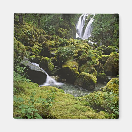 USA, Alaska. Ein Wasserfall und Magnet (Vorne)