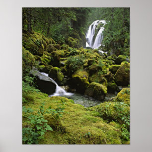 USA, Alaska. Ein Wasserfall und Poster