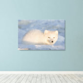 USA, Alaska, Fox Leinwanddruck (Insitu (Holzboden))