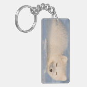 USA, Alaska, Fox Schlüsselanhänger (Vorderseite links)