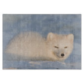 USA, Alaska, Fox Schneidebrett (Vorderseite)
