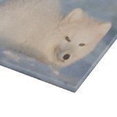 USA, Alaska, Fox Schneidebrett (Ecke)
