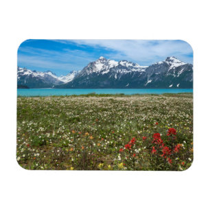 USA, Alaska, Glacier Bay National Park 2 Magnet