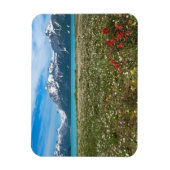 USA, Alaska, Glacier Bay National Park 2 Magnet (Vertikal)