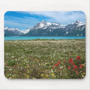 USA, Alaska, Glacier Bay National Park 2 Mousepad