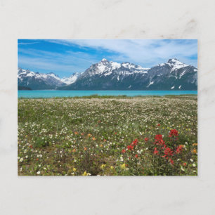 USA, Alaska, Glacier Bay National Park 2 Postkarte