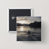 USA, Alaska, Glacier Bay National Park, Button (Vorne & Hinten)